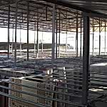 hali-kurutma-alanimiz