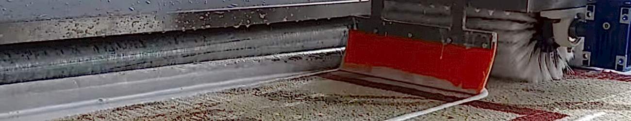 halı temizleme izmir