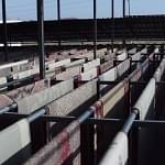 siltem-hali-temizleme-fabrikasi